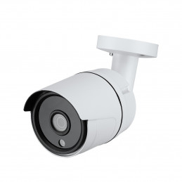 1.3MP 960P Camera IP en PoE